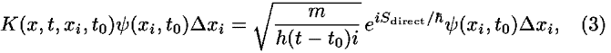 <i>K</i>(<i>x</i>,<i>t</i>,<i>x</i><sub><i>i</i></sub>,<i>t</i><sub>0</sub>)<i>psi</i>(<i>x</i><sub><i>i</i></sub>,<i>t</i><sub>0</sub>)<i>Delta</i> <i>x</i><sub><i>i</i></sub> = sqrt((<i>m</i>/(<i>h</i>(<i>t</i> – <i>t</i><sub>0</sub>)<i>i</i>))) <i>e</i><sup><i>i</i><i>S</i><sub>direct</sub>/[h-bar]</sup><i>psi</i>(<i>x</i><sub><i>i</i></sub>,<i>t</i><sub>0</sub>)<i>Delta</i> <i>x</i><sub><i>i</i></sub>,